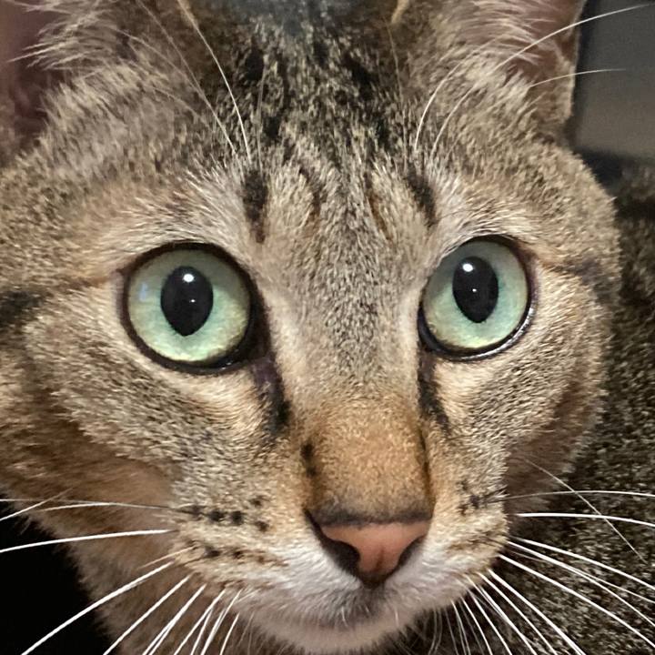 6d270bd4 fce3 4236 8d1a e4584543d27e 1768606603275