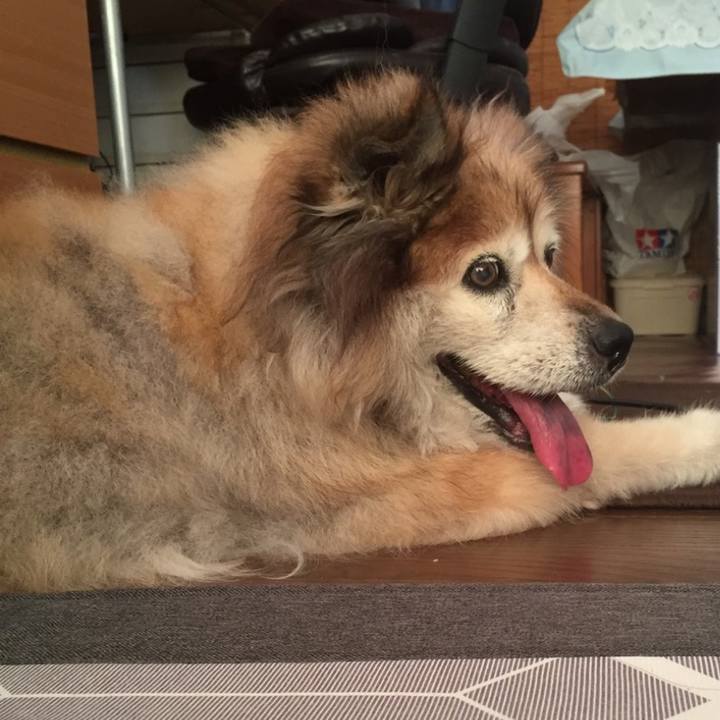 6d271317 7d23 4521 a4f2 0e79e8cce8df 1646886317067