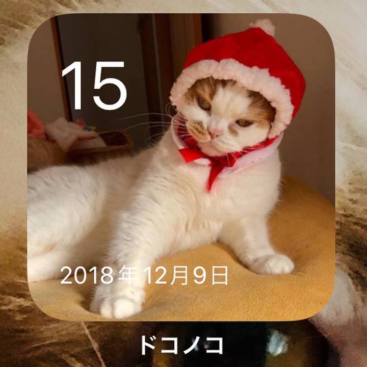 6d273bcd 6d2f 4d38 9acf c79d68894d52 1639555408973