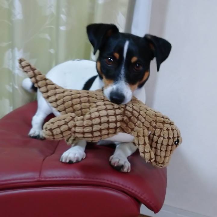 6d2762db 16fc 4214 b3e4 6abfbe29e84e 1603546641852