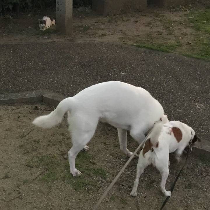 6d2782a6 cbfb 4f12 a1f1 cd0b90e3e98d 1531568760992