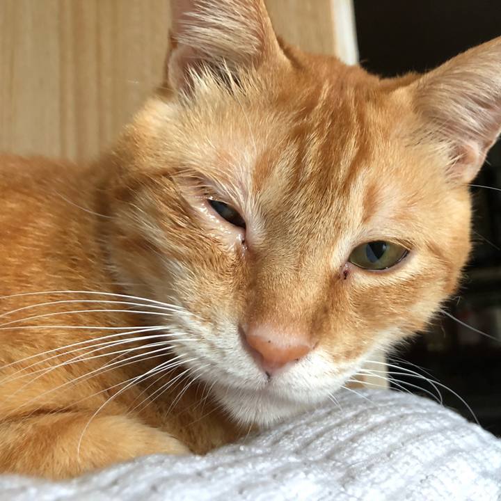 6d278b9d 53e6 4fa0 9ae4 04871f3dd0e7 1599513025559