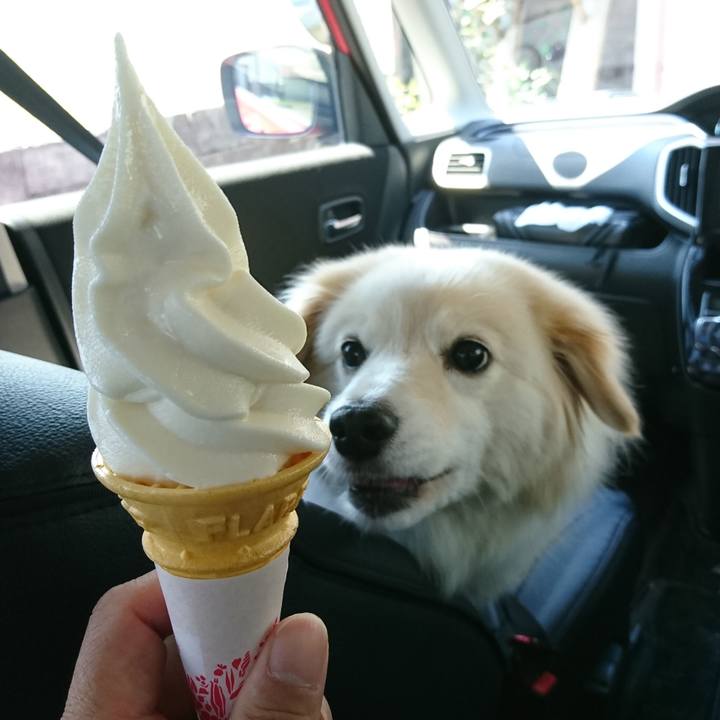 6d27a98d e959 47fb 9f17 6018594530c5 1526271033505