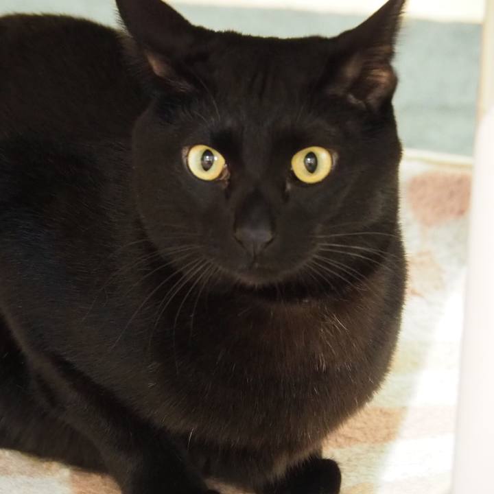 6d27a9f0 af88 4209 b1da 19e686bde02c 1546903683657