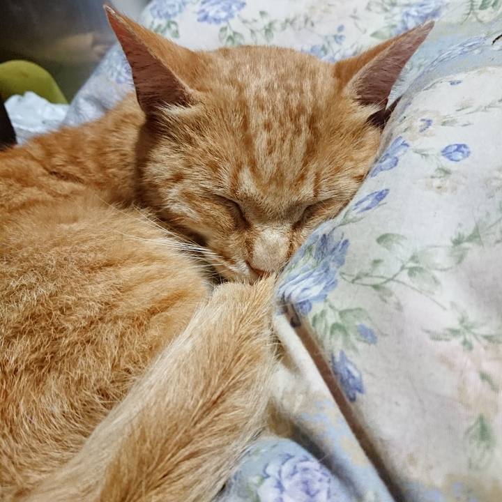 6d27dbc3 11aa 4ccd 84e9 f64b16a93c96 1590580733296