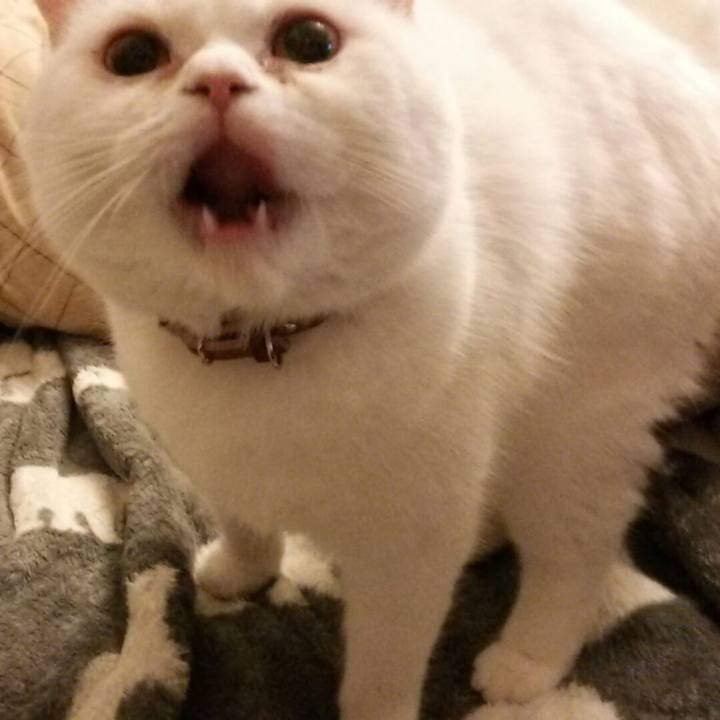 6d2845d7 24eb 49fa a77a 5ebfbd3d5a93 1521413217237