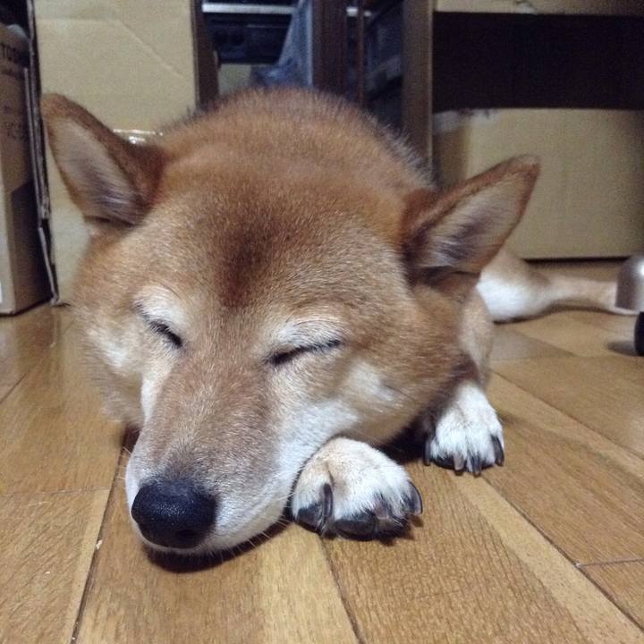 6d285ed5 1d83 4240 bde7 7b32d53ea2da 1533305951876