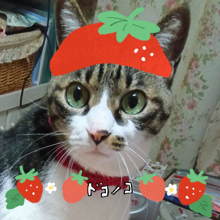 6d288bc9 6ed2 411a 9072 56021284e5d8 1775313826650