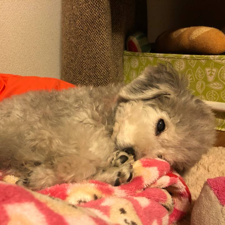 6d28a981 292b 4b5c b1ec ec0d9810c7b4 1545142046588