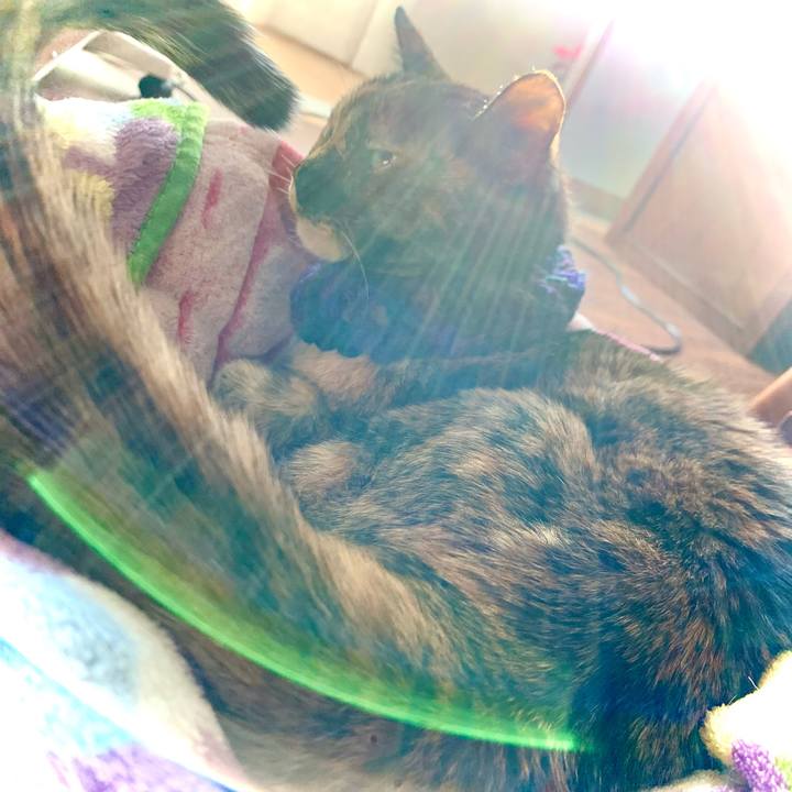 6d28b69e 3b7a 44b3 ac4f 73e8530616c3 1642036189865