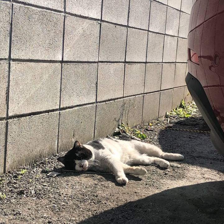 6d2954c8 8e5c 4599 829f c0ef9c673fc3 1644765278919