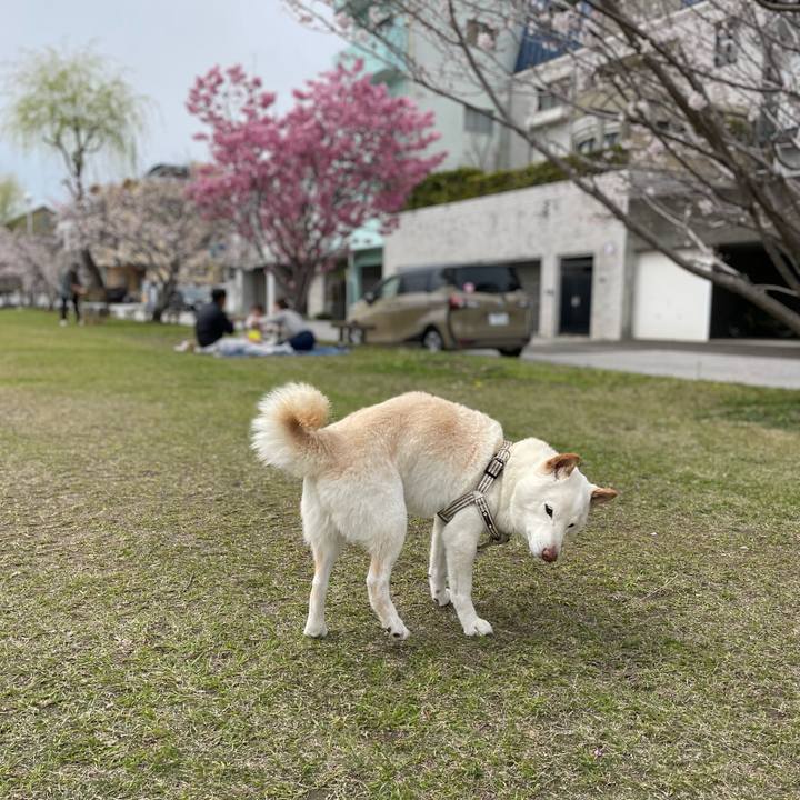 6d29568c 95ab 4834 a287 8ec1bd4baccf 1648445959776