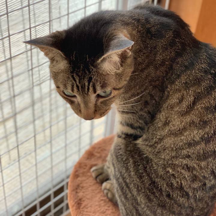 6d2972c2 760d 4a7f a670 6b352c6f0d02 1562116972202