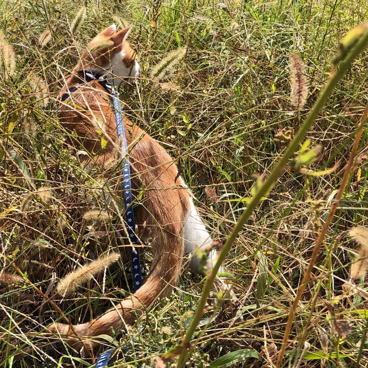 6d29c51a 6264 4761 9d31 e7c98c08652a 1539406298371