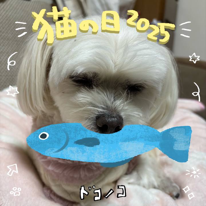 6d29eba7 c149 4b0f 909d 0ea1e5fe9e13 1740323084002