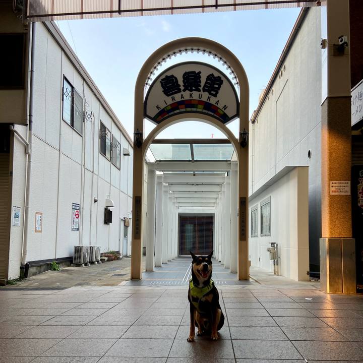 6d29f33e 095a 4b8f a4ff 9cf11cebe5d2 1647045345137