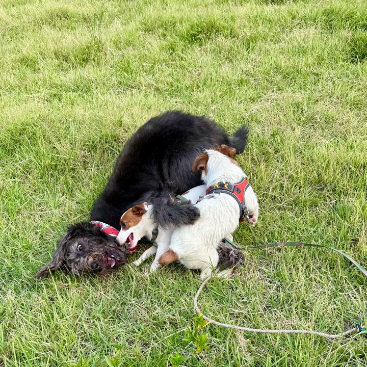 6d2a3ffd 2f82 4970 bd16 5a9bbf0a2400 1755906860897