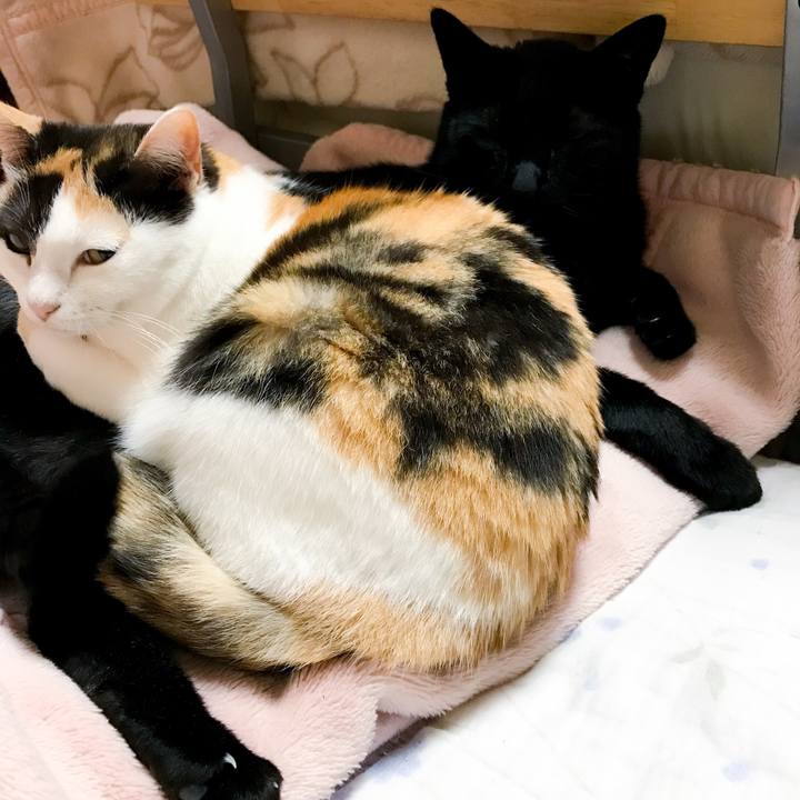 6d2a4664 b4e8 45b6 a088 bbc8b9188b58 1525656914032