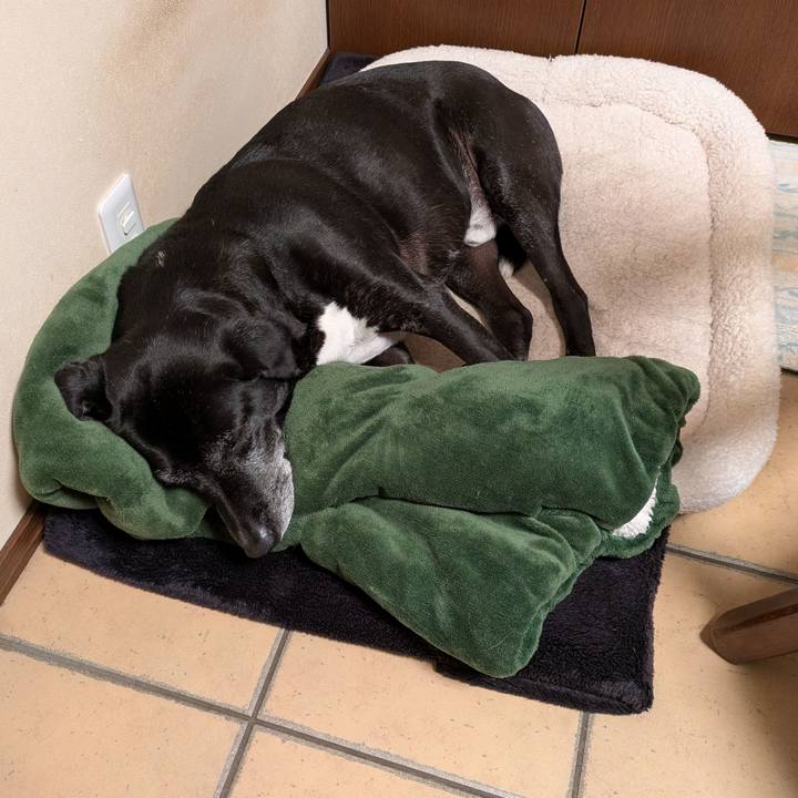 6d2a4eef 3f7b 473e bff1 bb88198a6ac4 1763242363482