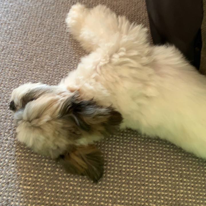 6d2a5f67 8dd8 4ddd addf 045e35543d7a 1568703029552