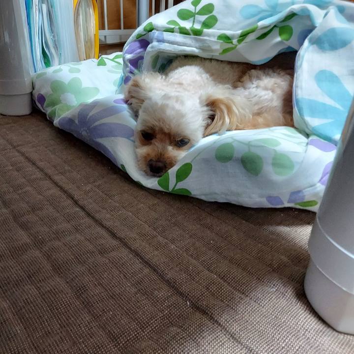 6d2a743f 07de 4903 8bbb 1ea7c84459cc 1659755515952