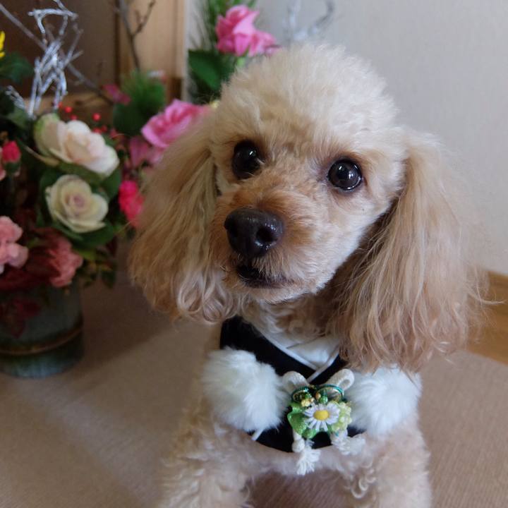 6d2abfc4 6870 422c 8d5d c7b10af79b8e 1577857327550