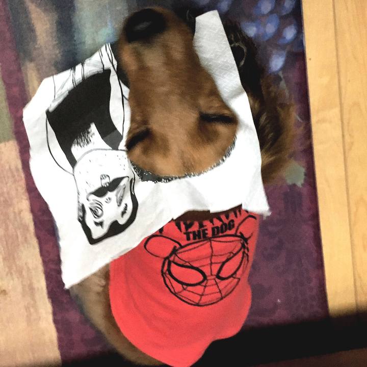 6d2ac8ca 5837 481c 8c53 93ce19aac062 1509749212959