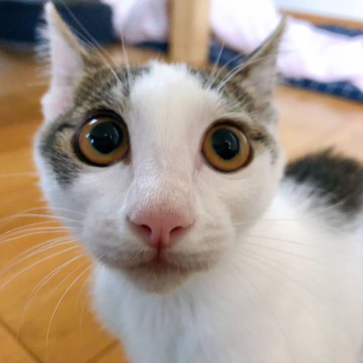 6d2ada40 05a8 40f4 807e 6199e8c2af2d 1566686293496