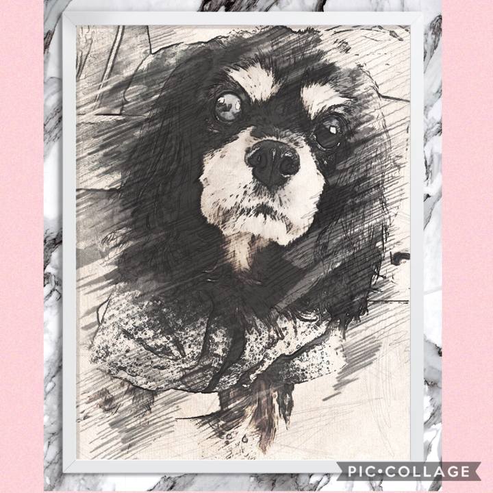 6d2ae269 84cd 46d3 a1eb 09b581bae2db 1535499680087