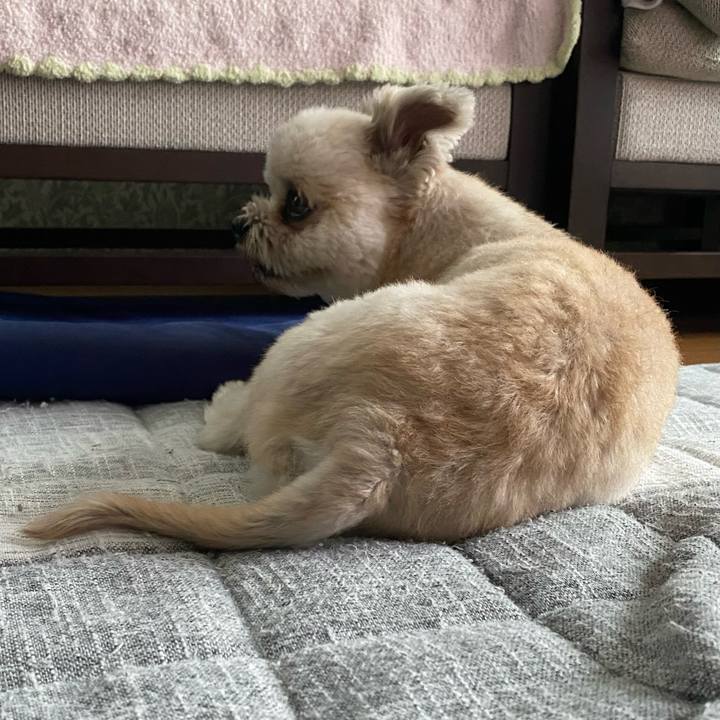 6d2ae2e4 0268 4a6c b807 d439a9224c99 1728113918625