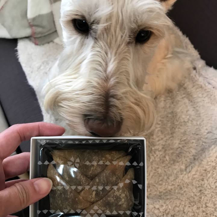 6d2afc2e fd82 4c5f add1 c928e7351e90 1515977340033