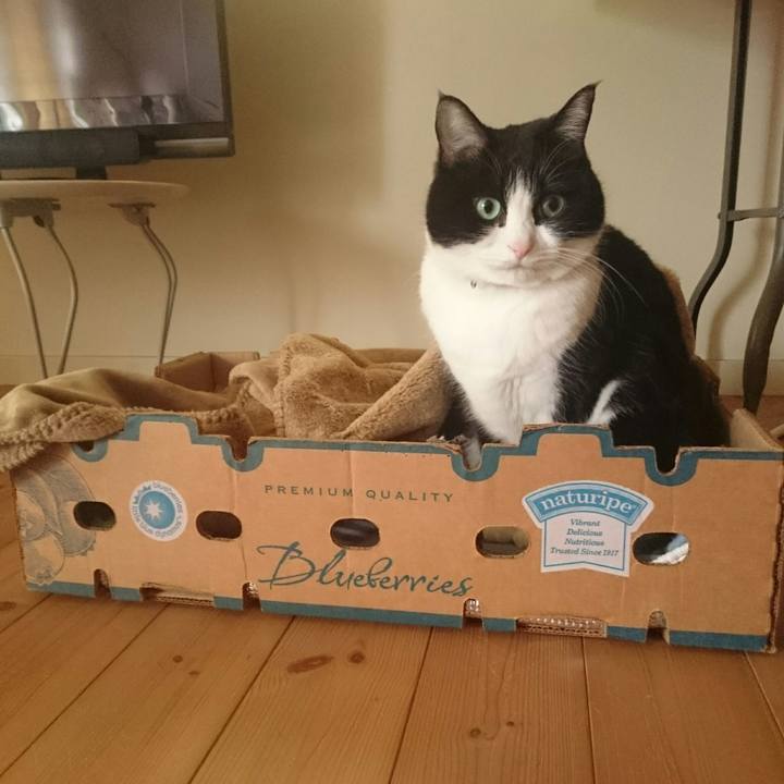 6d2b7b0a b404 4a5b a31e 145d9f64b8b3 1515915930975