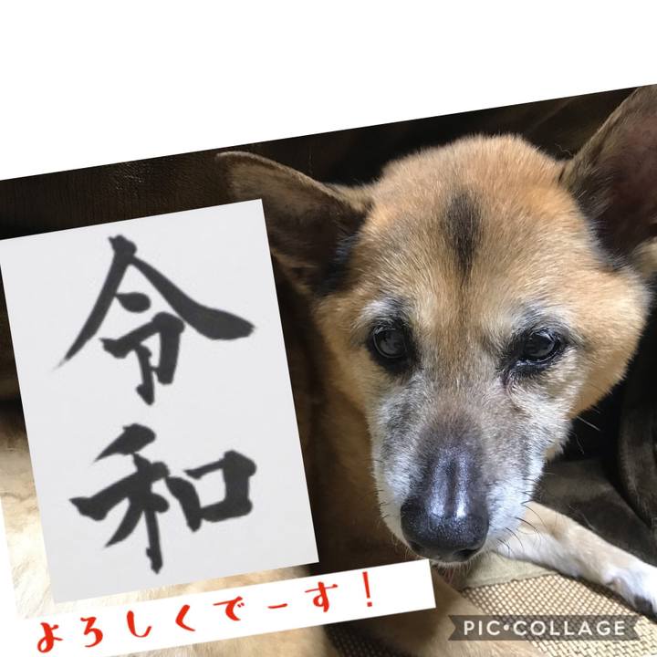 6d2ba8ea 6f9a 4916 954f 3646d61faf23 1556638301685