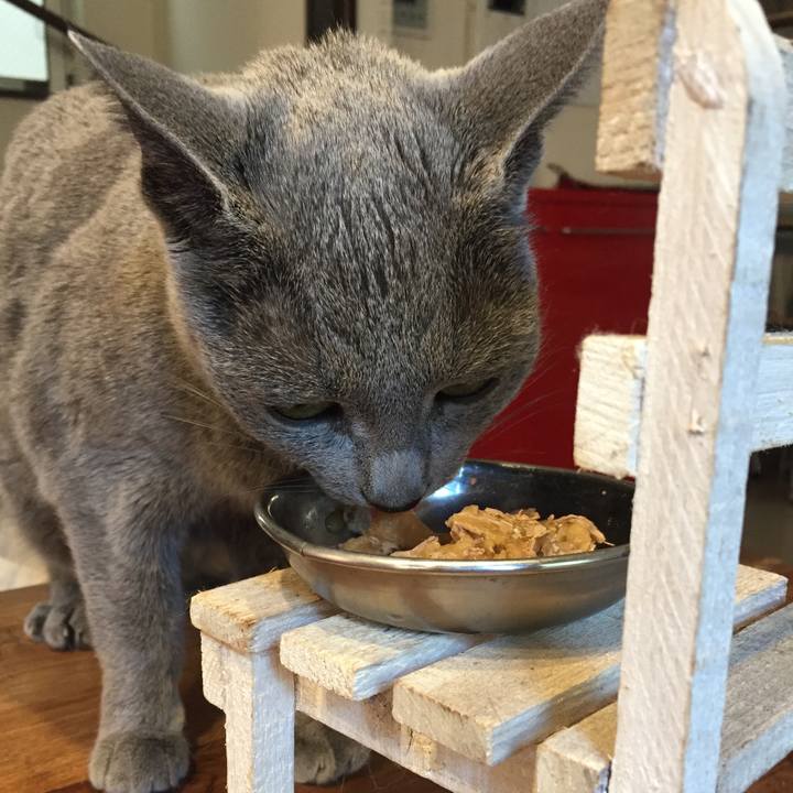 6d2bad90 bb03 41a0 9455 2237d9437d8d 1549235669820