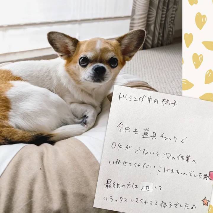 6d2baf82 4f21 4294 a281 380bacbd23db 1760081660986