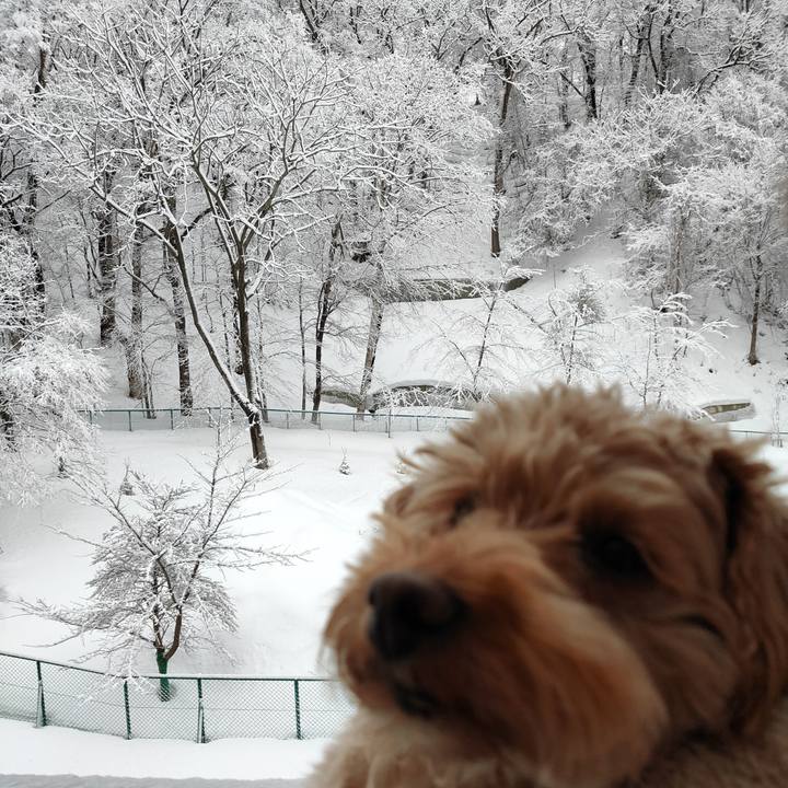 6d2bcea1 5451 4363 9d4e 0fa9f55185a8 1583963697155