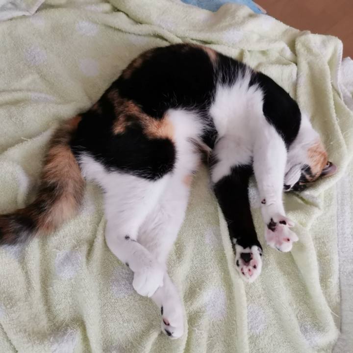 6d2bd542 3768 4601 9cf9 68880ba44613 1624350298289