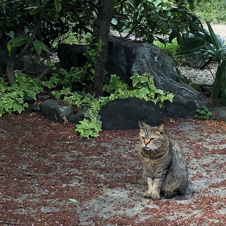 6d2be021 0e86 45b0 95be fa68195a03b8 1523521330816