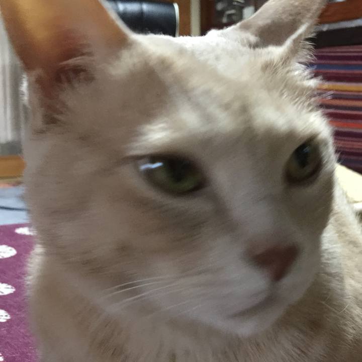 6d2c4267 237e 4679 881c 726fbb734471 1551167221720