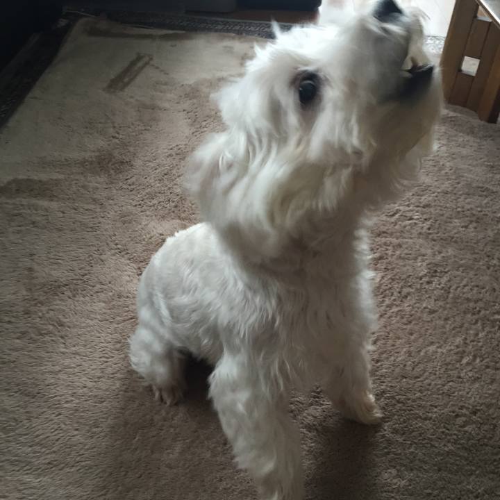 6d2c5a93 afba 4346 9625 447f84099345 1509602070115