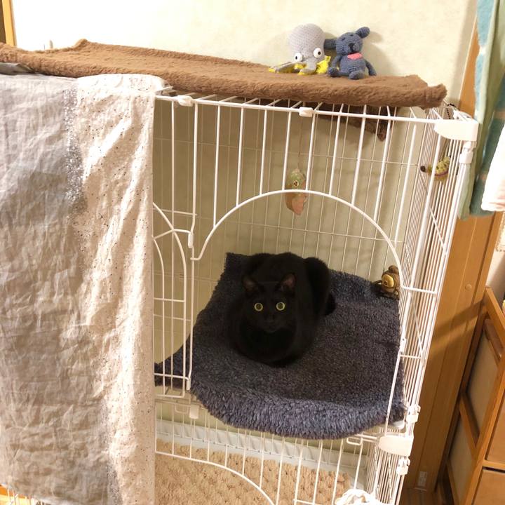 6d2c70d5 06e6 48eb ba12 0575d5551ab1 1544616737012