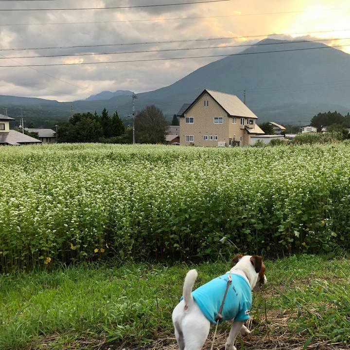 6d2c9189 a240 48c1 aeb9 a765df5d982a 1567683423014