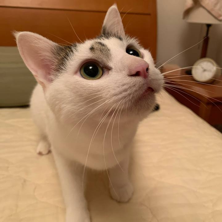 6d2c9bc1 dc38 459c bf60 726659952b4e 1631161231580