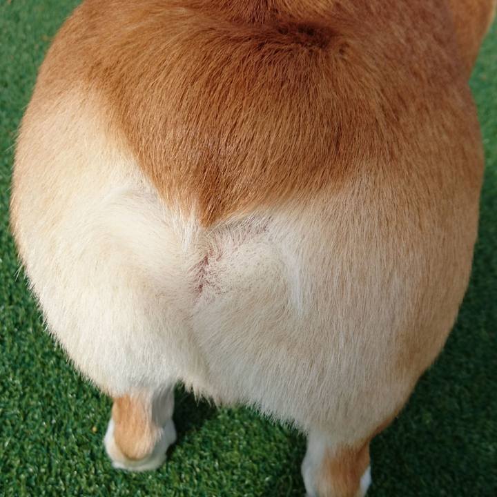 6d2cc059 310c 47c3 97a1 dead42732e4f 1602915043837