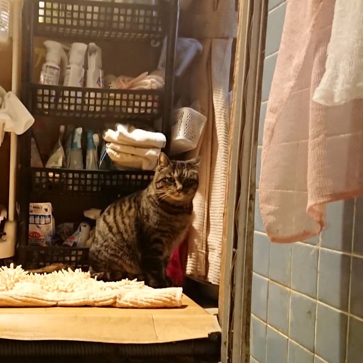 6d2cca61 bbe0 4777 8f54 e052cb2a281a 1644403320132