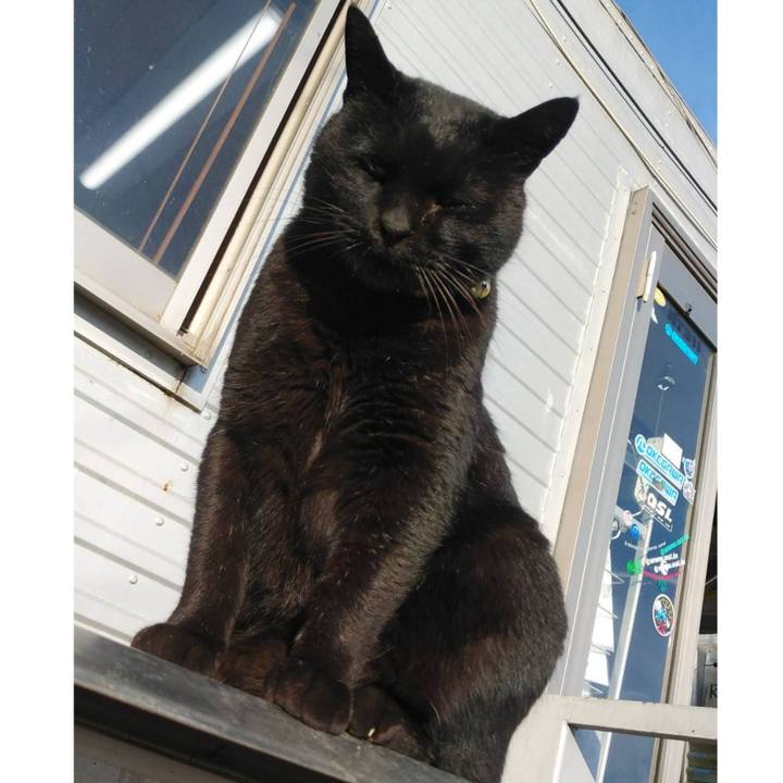 6d2cd500 c95a 4764 a57b a35b5f5253d4 1609230335531