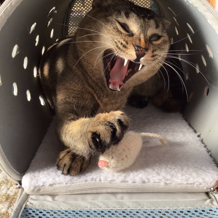 6d2cf010 3bbe 4a4f a421 bc11c5420e3e 1577926971099