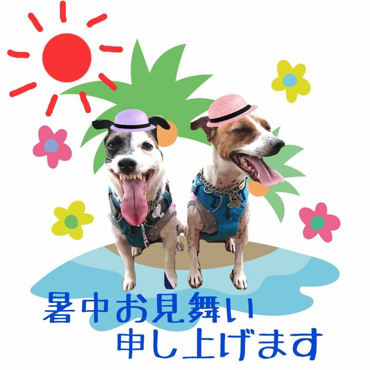 6d2d1475 4d43 43a1 84db 4c5cb3ffaf3b 1596755775701