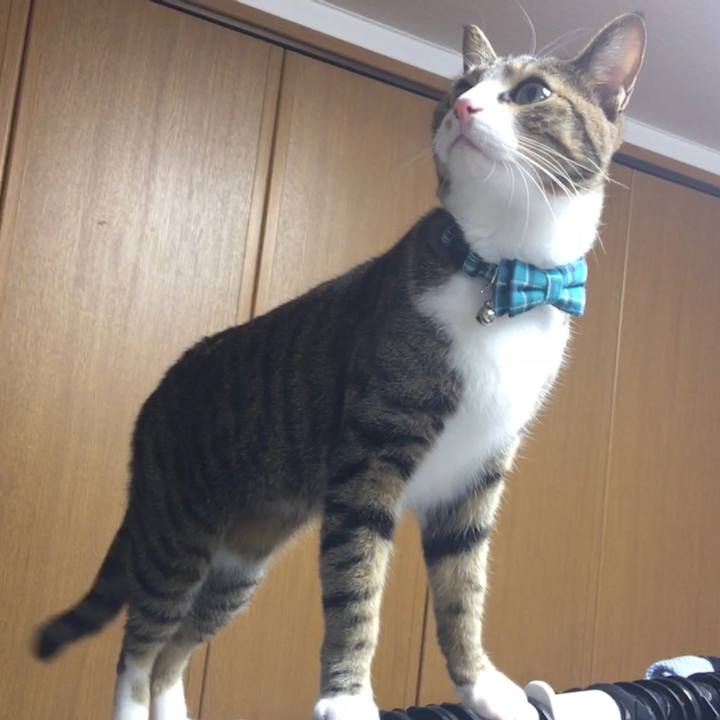 6d2d6686 2df3 4a7b 9057 b18dfb585100 1669019100224