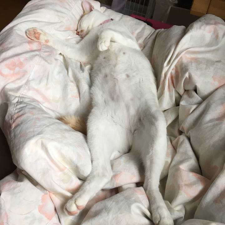 6d2d7acb 70c4 4404 a2e9 46ec44ff6b47 1538263658417